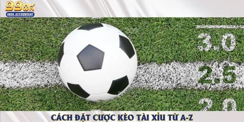 Cách đặt cược và vào tiền kèo trên dưới khéo nhất